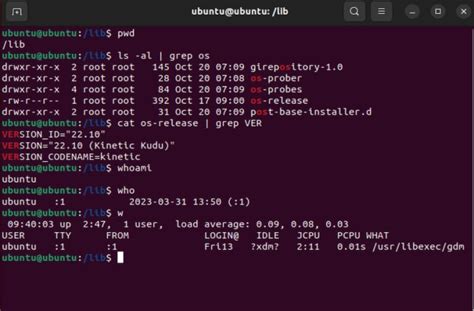 Linux Kali vs Mint 的图像结果