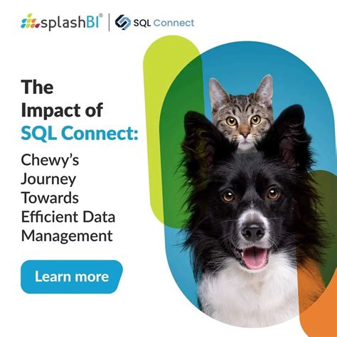 Image result for Splashbi SQL> Connect Explain Plan