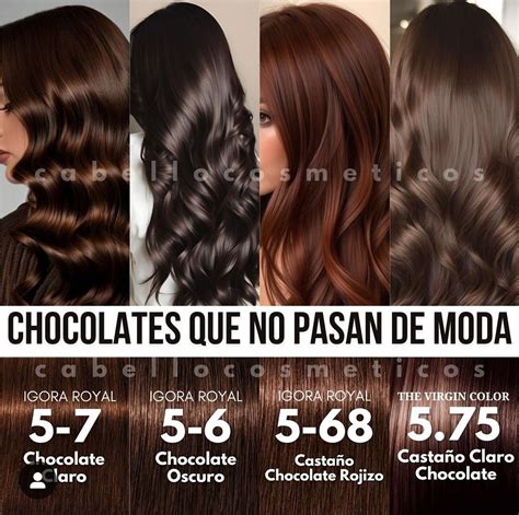 Pin de Yakeline Hdz. em peinados | Cores de cabelo, Cores de cabelo ...