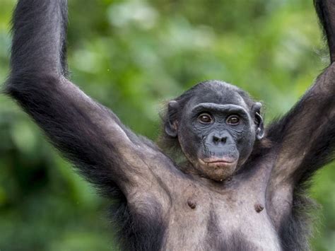 Watch I Was Prey - Season 1 | Prime Video