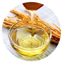 Home > Rungta Industries Pvt Ltd