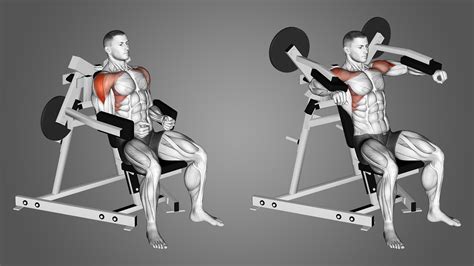 Pullover Machine: Benefits, Muscles Worked, and More - Inspire US