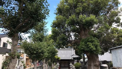 TAKAGI SHRINE (2026) All You Need to Know BEFORE You Go (with Photos ...