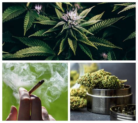 Help Quit Smoking Marijuana