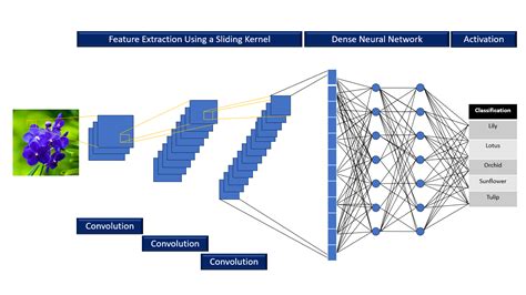 Image result for How Image Classification Works