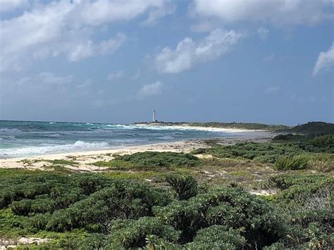 Punta Sur Eco Beach Park (Cozumel) - 2020 What to Know Before You Go ...