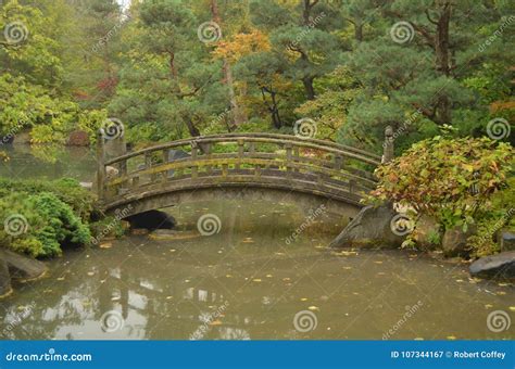 An Oriental Bridge in a Japanese Garden Stock Image - Image of woodland ...