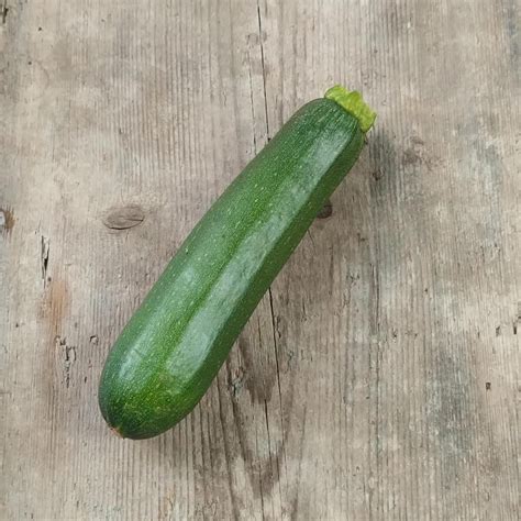 Zucchini 'Zuboda' (Cucurbita pepo) organic - approx. 10 seeds