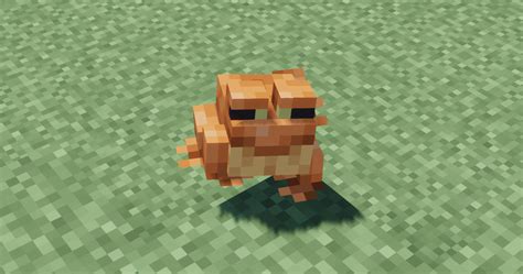 Image result for Minecraft Frog Command Block