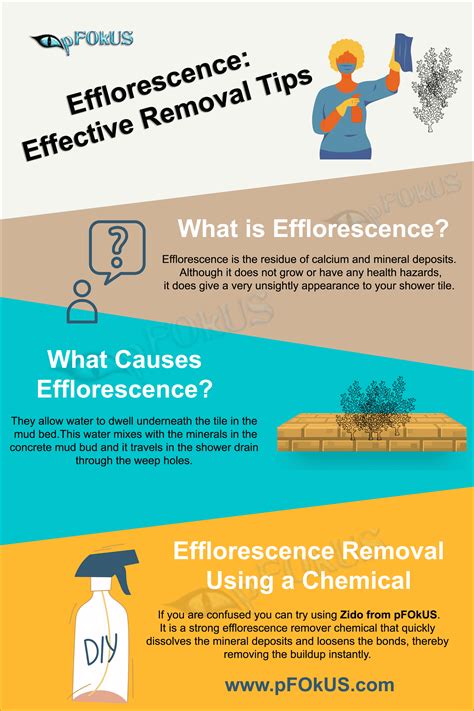 Image result for Efflorescence Repair