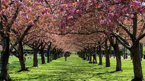 10 Beautiful Places To Visit In New York City: NYC Scenic Attractions 2024