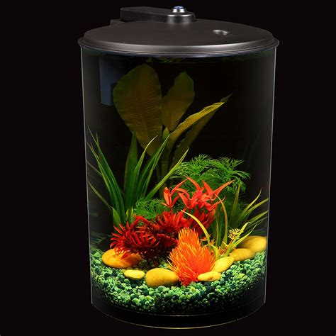 3 Gallon Fish Tanks