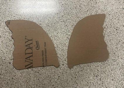 Image result for Simple Butterfly Paper Mache Tutorial