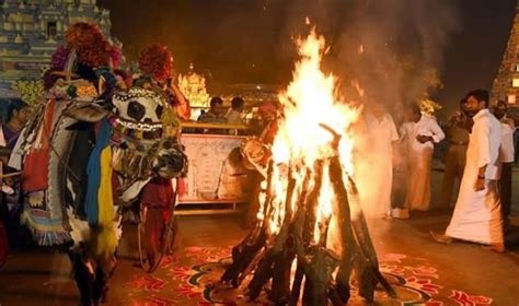 The Bhogi Mantalu-Bonfire | TLMWEB