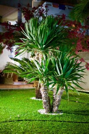 VILLA MARE MAR (Sutomore) - Villa Reviews, Photos, Rate Comparison ...