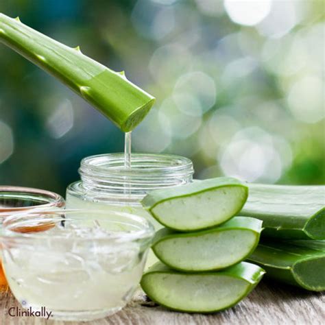 Top Aloe Vera Benefits for Skin and Hair | Clinikally