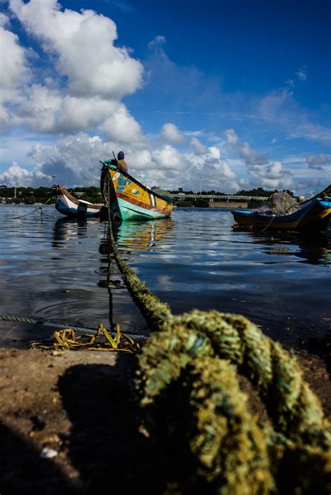 In pictures: How a power plant devastated the pristine beauty of a ...