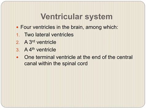 CSF Ventricular System 的图像结果