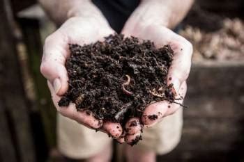 Black Gold: The Rise of Composting in India