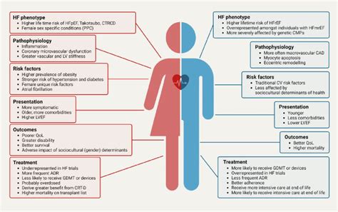 Sex and Gender Differences in the Pharmacology of the Overactive Urinary Bladder | Springer Nature L