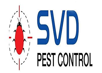 3 Best Pest Control Services in Vijayawada, AP - Expert Recommendations
