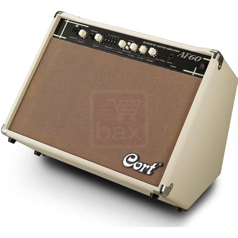 Cort Acoustic Amplifier AF Series 60 Watts AF60 : Amazon.in: Musical ...