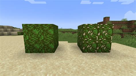 Image result for Minecraft Java Kelp