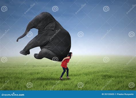 Beautiful Woman Lifting Heavy Elephant Stock Image - Image of carrying, faith: 35132655
