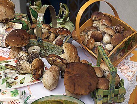 Festa delle Brise - UnserTirol24