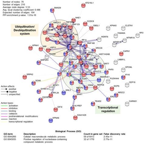 E3 Ubiquitin Ligase TRIP12: Regulation, Structure, and ...