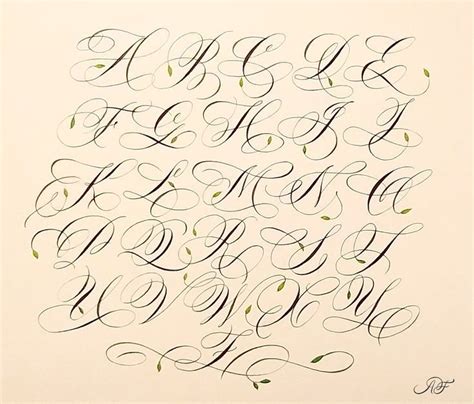 Image result for Scripted Letters