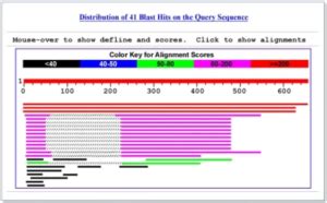 Blast Biotechnology Example 的图像结果