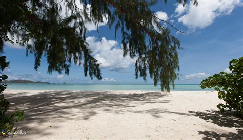 Acajou Beach Resort - Hotel - Beaches - Praslin (Seychelles) - Photo 42
