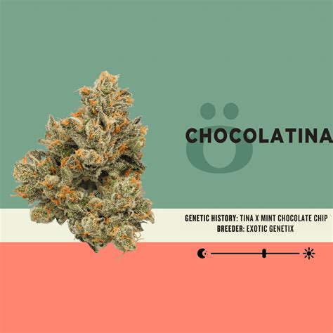 Gallery | Dispensaries & Products | Clear Choice Cannabis