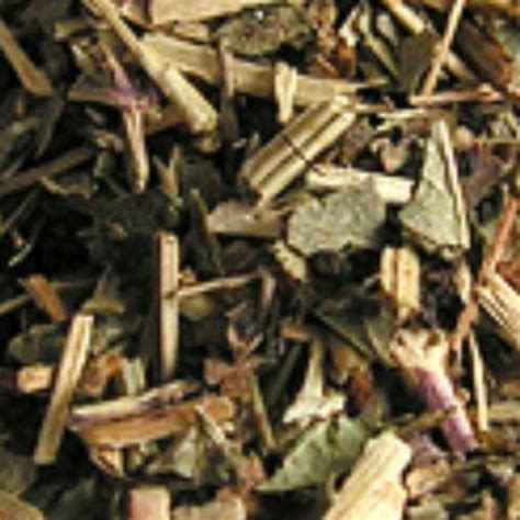 Epicofnature – Be with nature