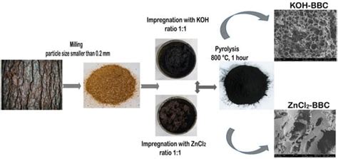 Preparation and Application of Efficient Biobased Carbon Adsorbents ...