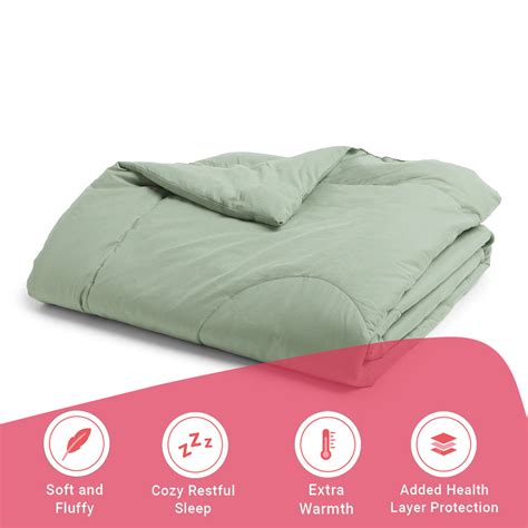 Buy Paleto | Everyday Hues Cotton Solid Dyed 120GSM Comforter-Green ...