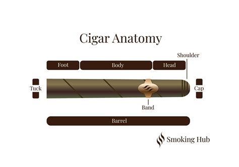 The Complete Beginner's Guide to Cigar Smoking – Smoking Hub