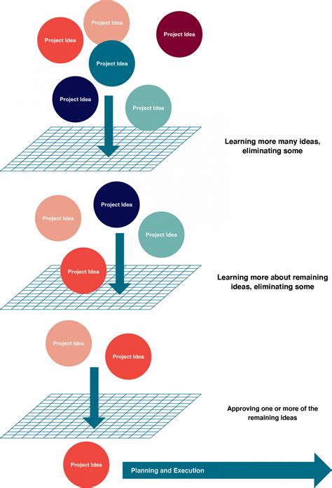 Image result for Selection Project 9