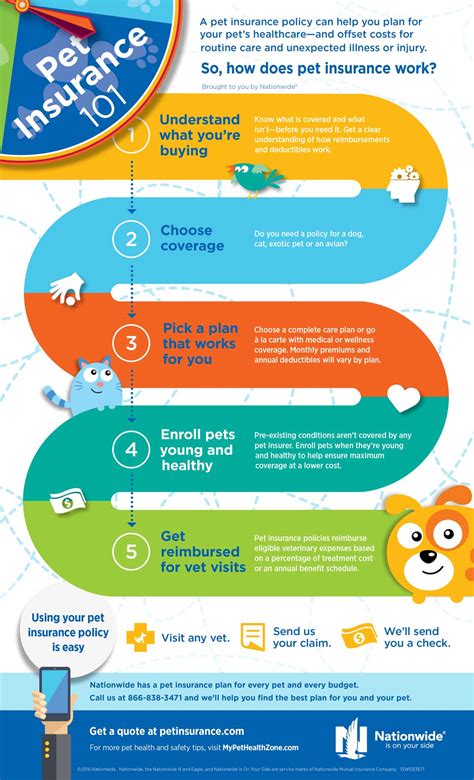 Pet Insurance 101 Infographic | Pet Health Insurance & Tips