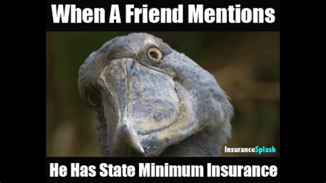 Image result for Insurance Splash