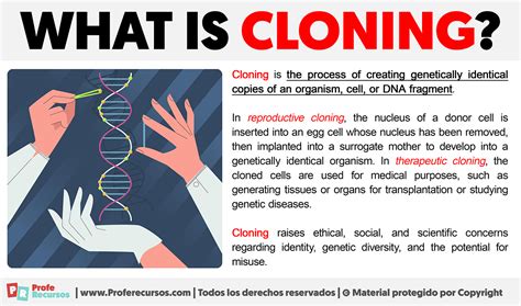Image result for Cloning Process Explained
