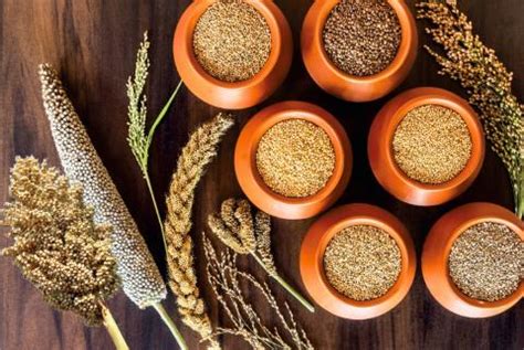 Indian Millets | APEDA