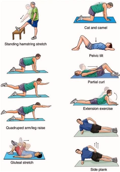 Image result for Lower Back Strength Exercises