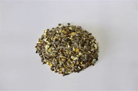 Premium No-Mess Bird Mix - All Year Round Bird Mix - Wild Bird Store