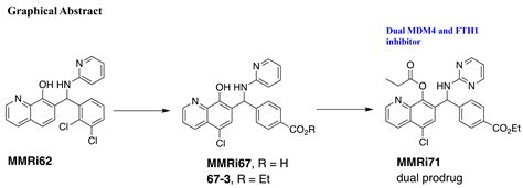 Dual Targeting of MDM4 and FTH1 by MMRi71 for Induced Protein ...