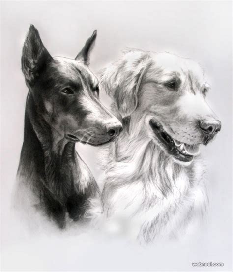 Cool Drawings of Dogs 的图像结果