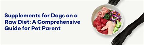 Supplements for Dogs on a Raw Diet – K9 Vitality