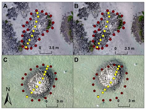 Rapid and Accurate Monitoring of Intertidal Oyster Reef Habitat Using ...