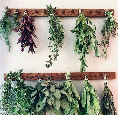 Set of Two Herb Drying Racks - Etsy | Herb drying racks, Drying herbs ...